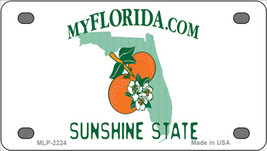Florida Sunshine State Blank Novelty Mini Metal License Plate Tag - £11.88 GBP