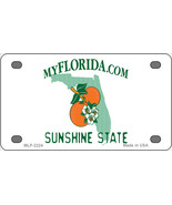 Florida Sunshine State Blank Novelty Mini Metal License Plate Tag - $20.44 CAD