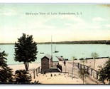 Birds Eye View of Lake Long Island New York NY UNP Unused DB Postcard V17 - £7.75 GBP