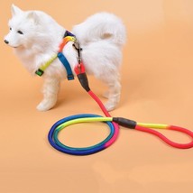 Vibrant Nylon Round Handheld Dog Rope - Stylish Pet Leash - £8.52 GBP+