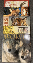 Lot (5) Vintage Animal Calendars 2002-2004 Tigers, Wolves, Roosters, Cows - £9.03 GBP