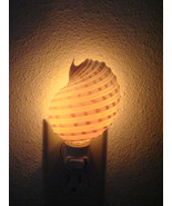 Spotted Banded Tun Sea Shell NIGHTLIGHT Bathroom Kitchen 7344 - $10.00