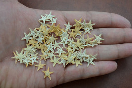 90 Pcs SMALL STARFISH Star Sea Shell Beach CRAFT 1/2&quot; #7144 - £5.57 GBP