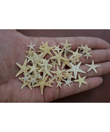 90 Pcs SMALL STARFISH Star Sea Shell Beach CRAFT 1/2&quot; - 3/4&quot; #7459 - $7.00