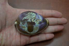 PURPLE MERMAID carved COWRIE shell beach decor  2 1/2&quot;  #7626 - £4.71 GBP