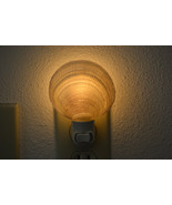 Codackia Tigerena Sea Shell NIGHTLIGHT Bathroom Kitchen 7347 - $15.00