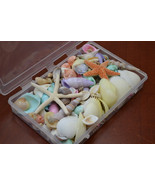 Assort Mix White Sea Shell with STARFISH BEACH plastic Box 6 1/2&quot;x4 1/2&quot;... - £8.97 GBP