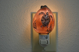 Carved Tiger Cowrie Turtle Sea Shell Nightlight Kitchen Bathroom 7628 - £7.85 GBP