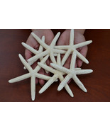 6 Pcs WHITE Pencil STARFISH Star Sea Shell Wedding Beach Craft 4&quot; - 5&quot; 7368 - $10.00