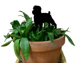 Affenpinscher Plant Stake - $27.99