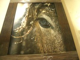 Horse Eye Wall Print in wood Frame image 4