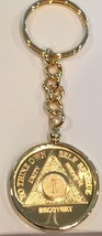 Any Year Or Month 24k Gold Plated AA Medallion Keychain Removable Chip - £22.37 GBP