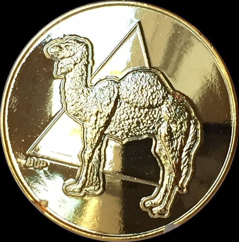 Camel Triangle 22k Gold Plated AA Medallion Sobriety Chip Pocket Token - $14.99