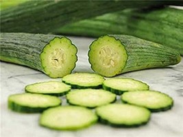 25 + Seeds  Tortarello Verde Scuro Cucumbers A Variety From Italy Vegetable Gard - $8.94