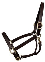 Warmblood or Large Horse sz Triple Stitched Leather Turnout Halter Havan... - £27.85 GBP