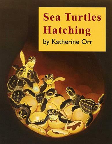 Sea Turtles Hatching [Paperback] Orr, Katherine - $4.90