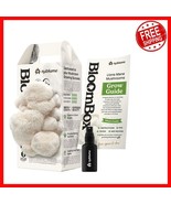 All-Natural Mushroom Grow Kit - Fresh Gourmet Mushrooms at Home - $49.57 CAD