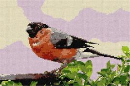 Pepita Needlepoint Canvas: Bullfinch Pyrrhula Bird, 12&quot; x 8&quot; - £69.11 GBP+