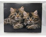 Little Whiskers Keith Kimberlin Great American Puzzle Factory 18&quot; X 24&quot; - £25.75 GBP