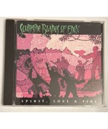 Southside Blades of Eden Spirit Love Fire CD Indie Pop Rock Blues - $5.69
