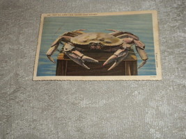 Oregon Coast Highway Deep Sea Jumbo Crab Wesley Andrews 1c posted Feb 1940 VG+ - £3.13 GBP