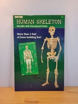 Vintage Safari LTD Human Skeleton Wood Kit with Educational Poster Puzzl... - £15.65 GBP
