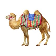 Camel Isolated Watercolor  5PCS Car Stickers for Living Room   Water Bottles Fun - £46.76 GBP