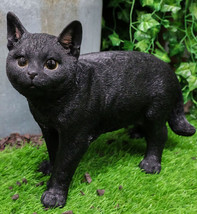 Large Lifelike Mystical Standing Black Cat Kitten Statue With Glass Eyes15&quot;L - £71.93 GBP