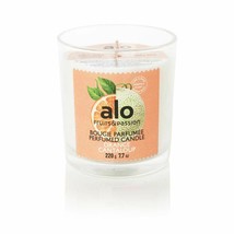 Fruits &amp; Passion Alo Orange Cantaloup Perfumed Plant Based Wax Candle 7.7 Ounces - $21.99