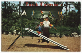 Tampa Fl Busch Gardens Bird Show  Macaw Parrot On The Slide ~1960s Postcard - £2.94 GBP
