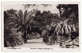 AUSTRALIA, Melbourne Botanical Gardens c1920-30s Rose Series real photo postcard - £5.40 GBP