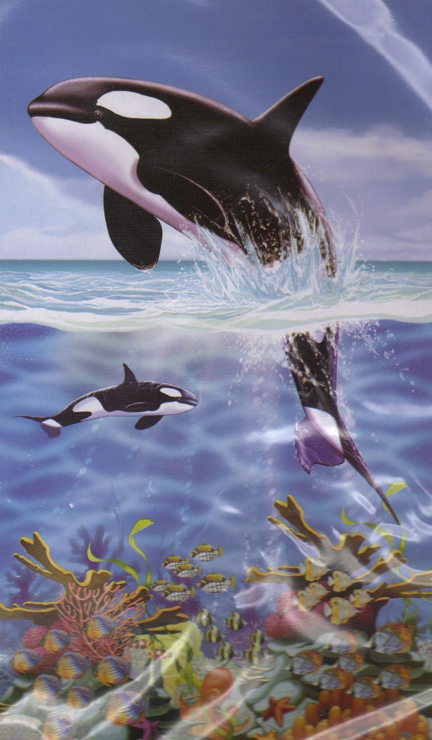 Dolphin Under the Sea Printed Plastic Sheet Door Cover Wall Mural Decora... - $1.99