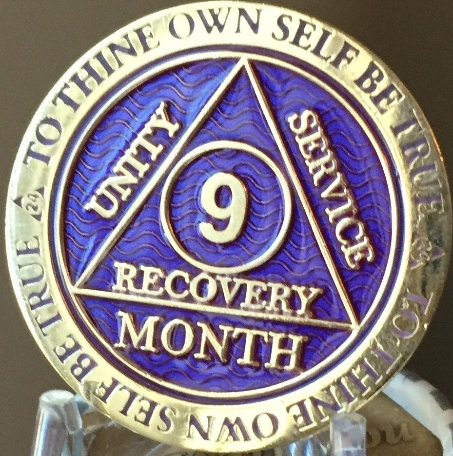 9 Month AA Medallion Reflex Purple Gold Plated Sobriety Chip Coin - $18.99