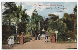 AUSTRALIA - SYDNEY NSW - The Forest, Botanic Gardens c1900s-10s vintage postcard - £4.73 GBP
