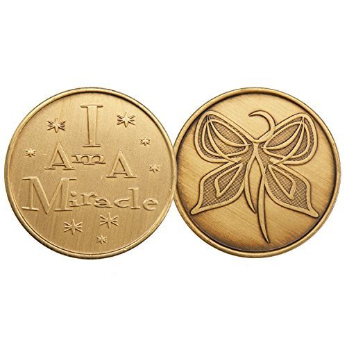 I Am A Miracle Butterfly-Bronze AA (Alcoholics Anonymous) -ACA-AL-ANON - Sobe...