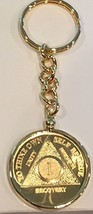 1 Year 24k Gold Plated AA Medallion In Keychain Removable Sobriety Chip ... - $26.99