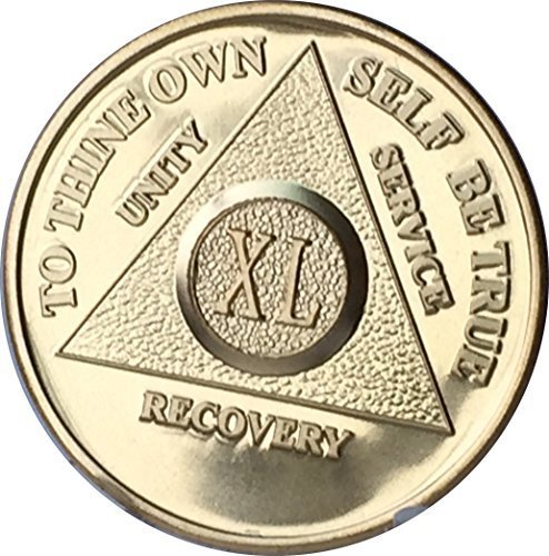 40 Year 24K Gold Plated AA (Alcoholics Anonymous) - Sober / Sobriety / Birthd...