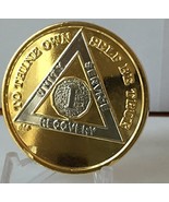 1 Year AA Alcoholics Anonymous Medallion Bi-Plate Sobriety Chip Gold Pla... - £14.38 GBP