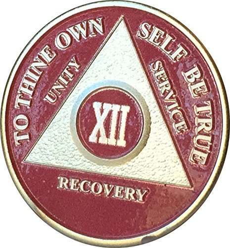 12 Year Pink & Silver Plated AA Alcoholics Anonymous Sobriety Medallion Chip ...
