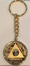 Camo Gold Plated Any Year 1 - 65 AA Medallion In Keychain Removable Sobr... - $29.99