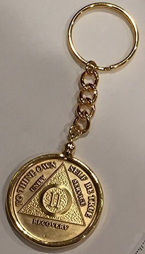 Any Year 1-65 or Month 1-11 or 24 Hours AA Medallion & Holder Key Chain 18k G... - $13.99