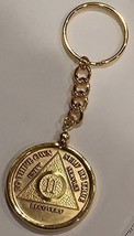 Any Year 1-65 or Month 1-11 or 24 Hours AA Medallion &amp; Holder Key Chain 18k G... - £11.00 GBP