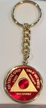 Any Year 1 - 65 Red Gold Plated AA Medallion In Keychain Removable Sobri... - £23.56 GBP