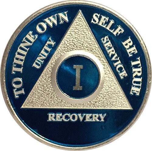 1 Year Blue Silver Plated AA Alcoholics Anonymous Medallion Chip Vinyl Protector