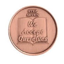 Step 7 Copper Commemorative AA (Alcoholics Anonymous) - Sober / Sobriety... - £5.58 GBP