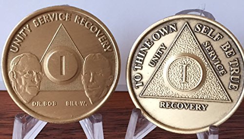 1 Year AA Founders & Anniversary Alcoholics Anonymous Medallion Chip Set Bron...