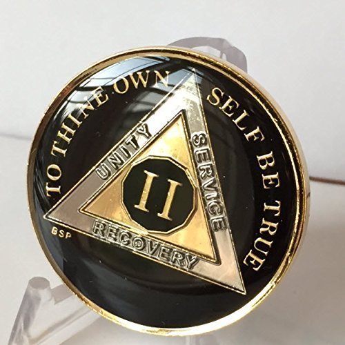 2 Year Classic Black AA Alcoholics Anonymous Medallion Sobriety Chip Tri Plat...