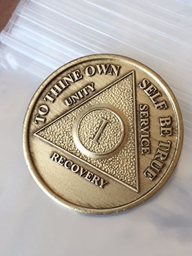1 Year Bronze AA (Alcoholics Anonymous) Birthday - Anniversary Recovery ... - $2.99