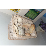 BASKET OF SEA SHELLS -ASSORTED SIZES - $437.15 MXN