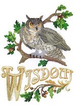 Nature Weaved in Threads, Amazing Birds Kingdom [Owl of Wisdom ] [Custom and Uni - £20.34 GBP